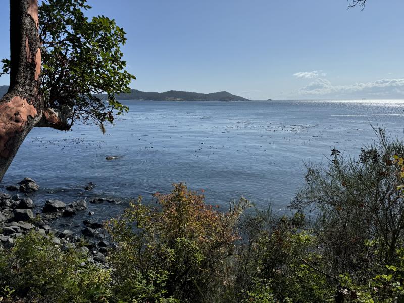 Sooke photo 3