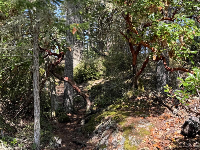 Sooke photo 6