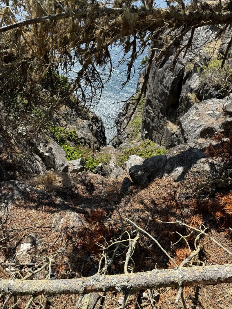 Sooke photo 8