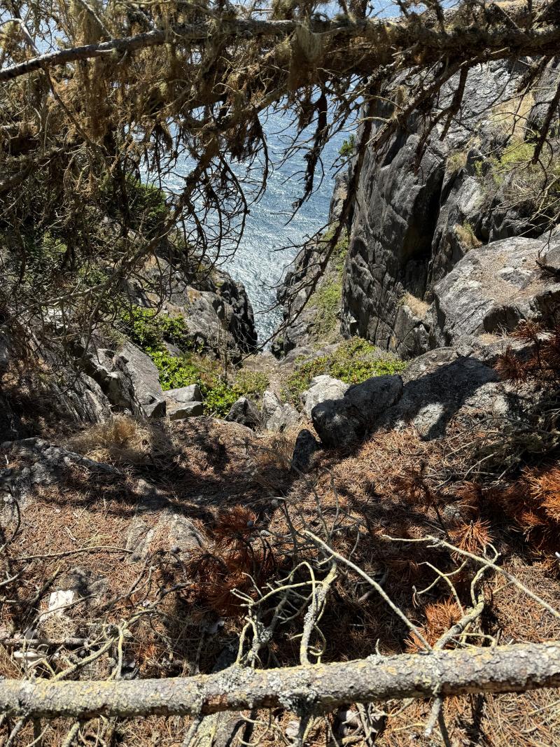 Sooke photo 9