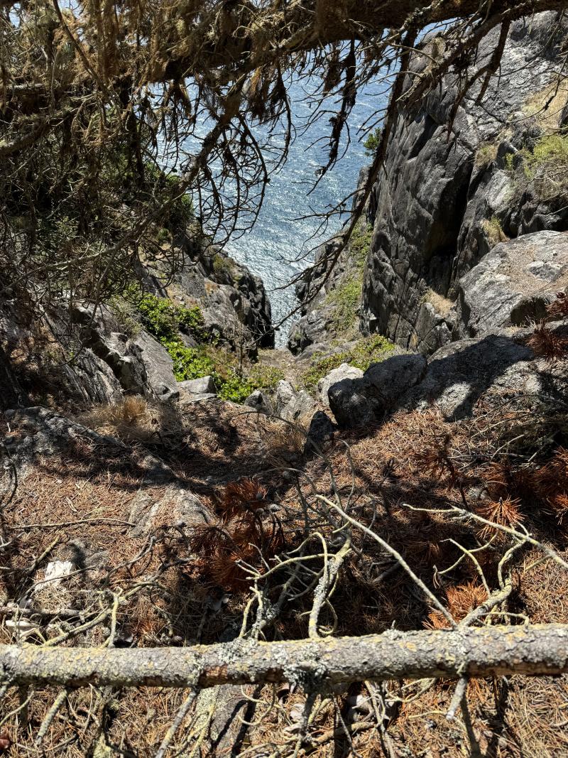 Sooke photo 10