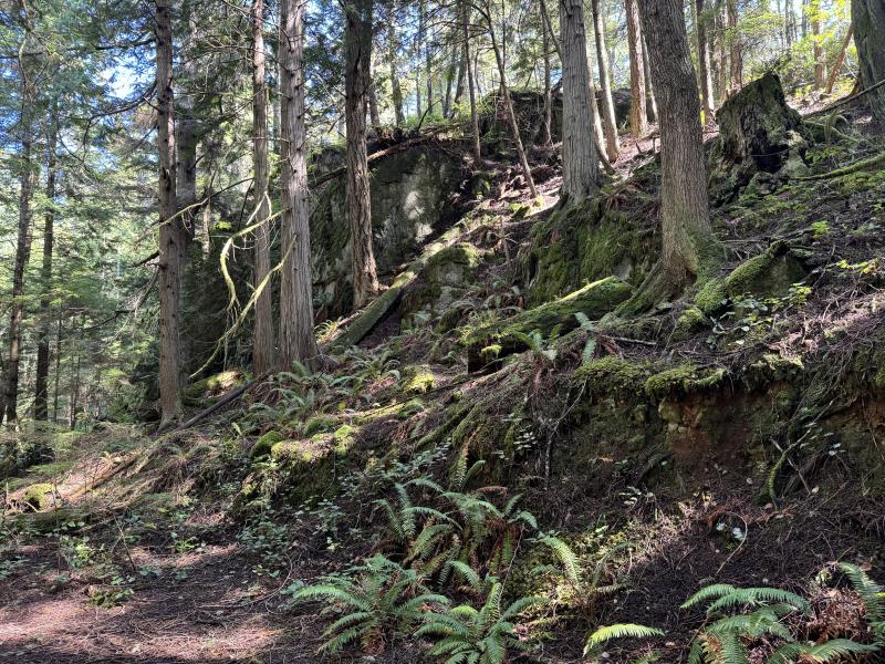 Sooke photo 14