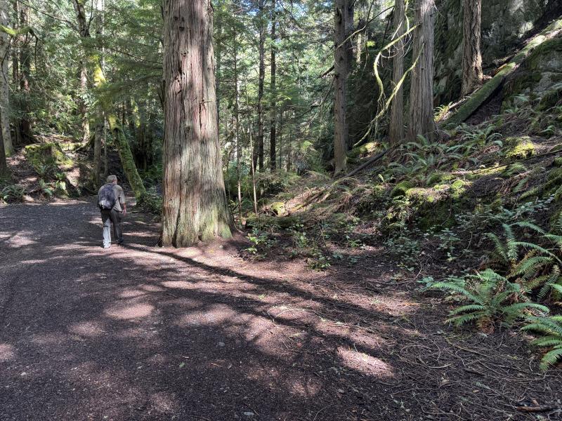 Sooke photo 15