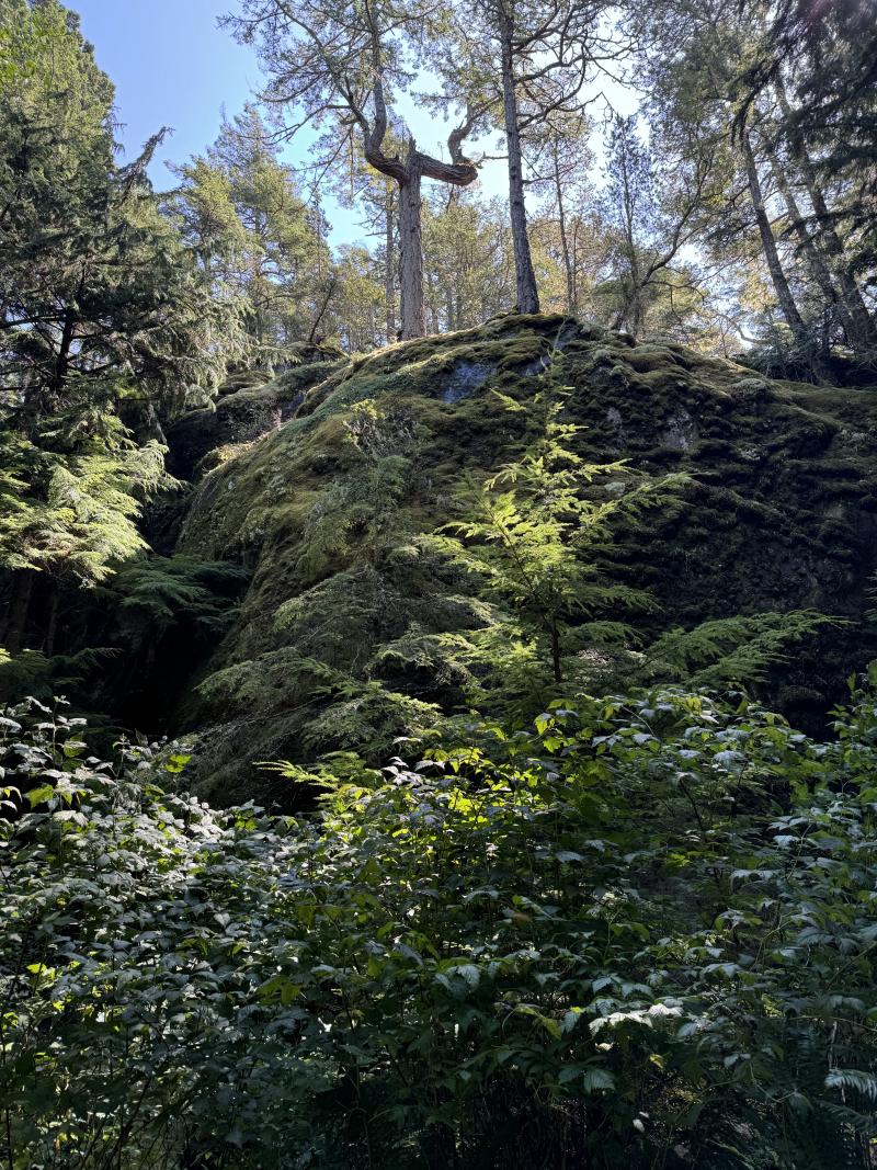 Sooke photo 16