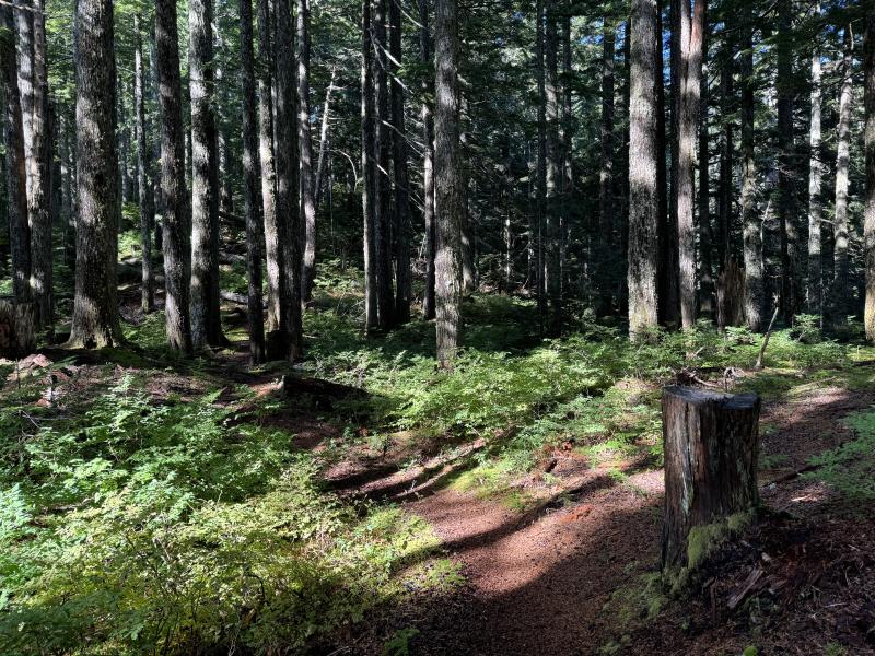 Kludahk Trail photo 21