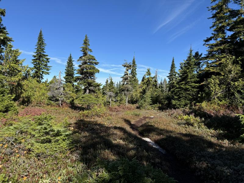 Kludahk Trail photo 29