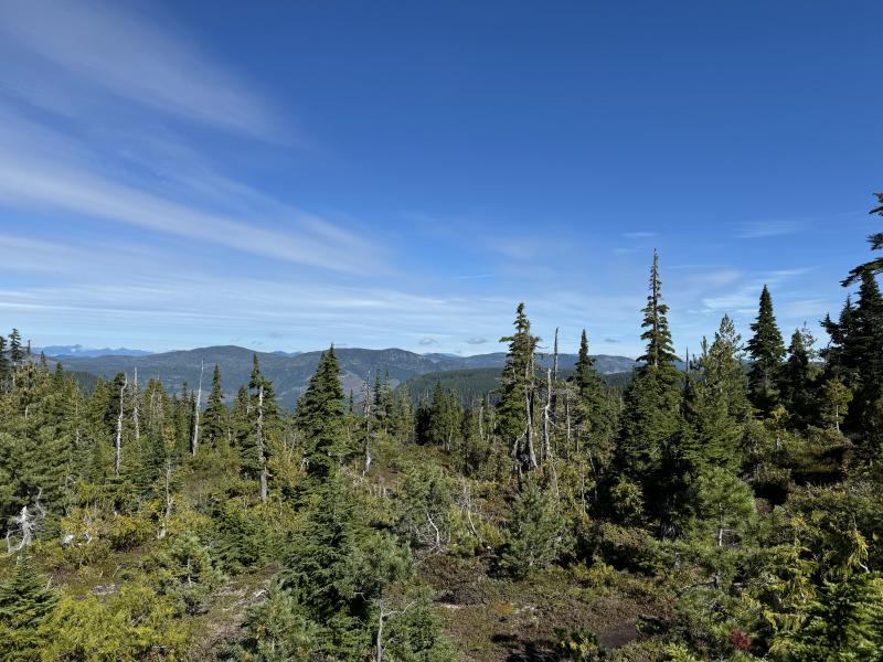 Kludahk Trail photo 42