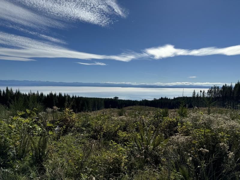 Kludahk Trail photo 54