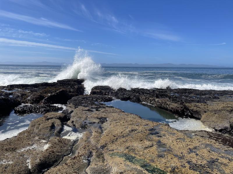 Sea Cave photo 17