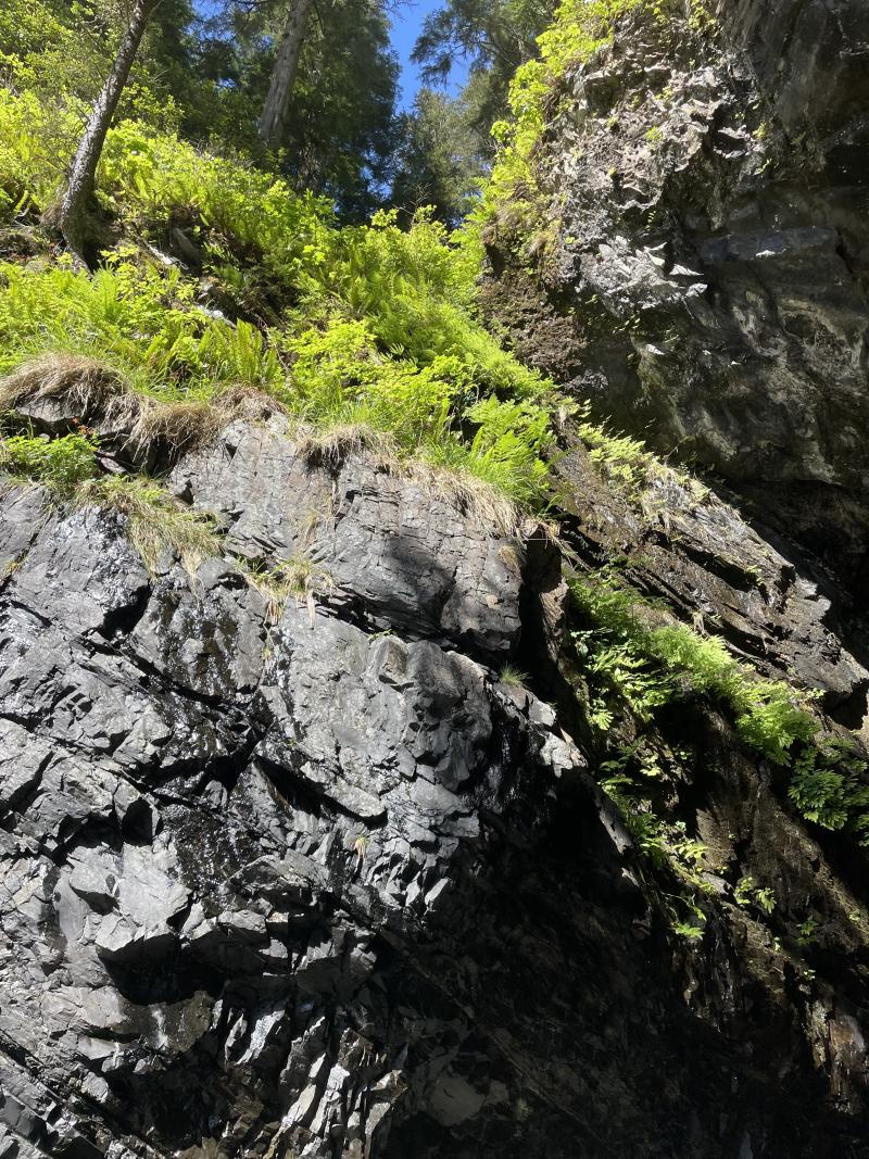 Sea Cave photo 31