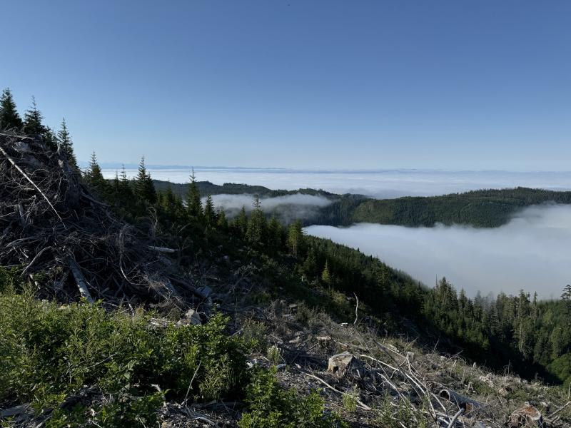 Three Arm Lake photo 1