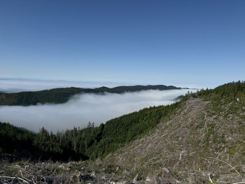 Three Arm Lake photo 2