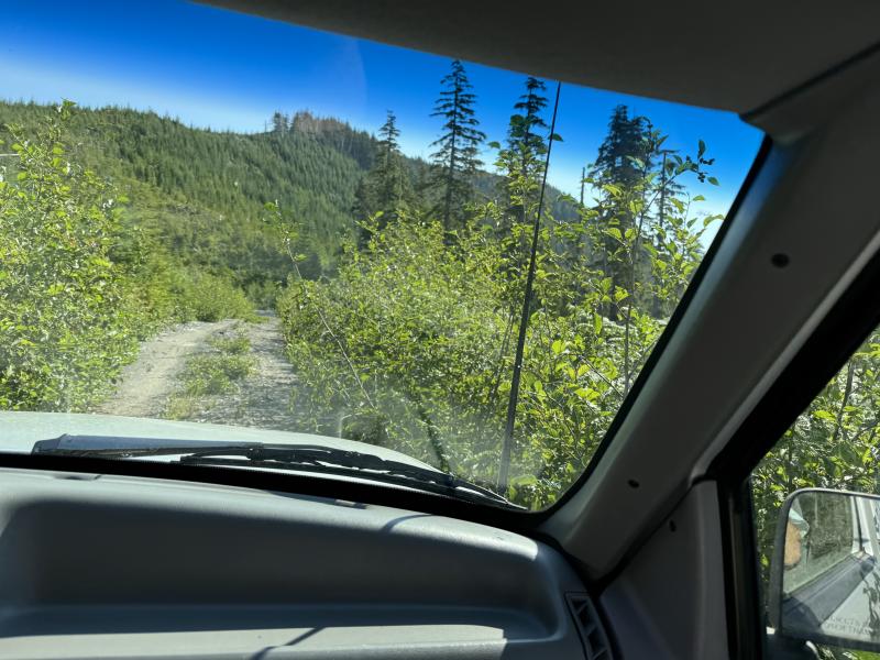 Three Arm Lake photo 6