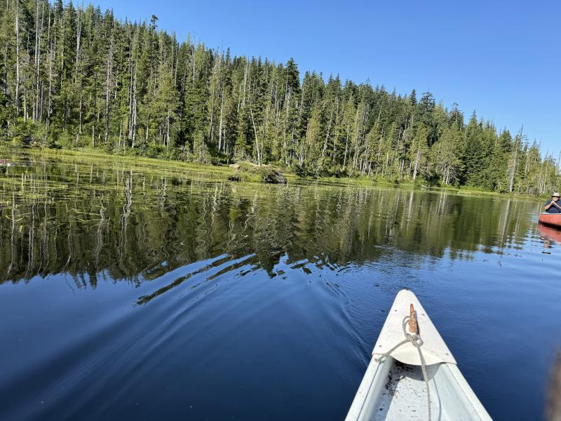Three Arm Lake photo 12