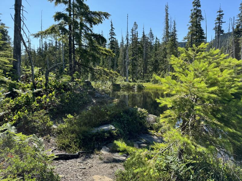 Three Arm Lake photo 28