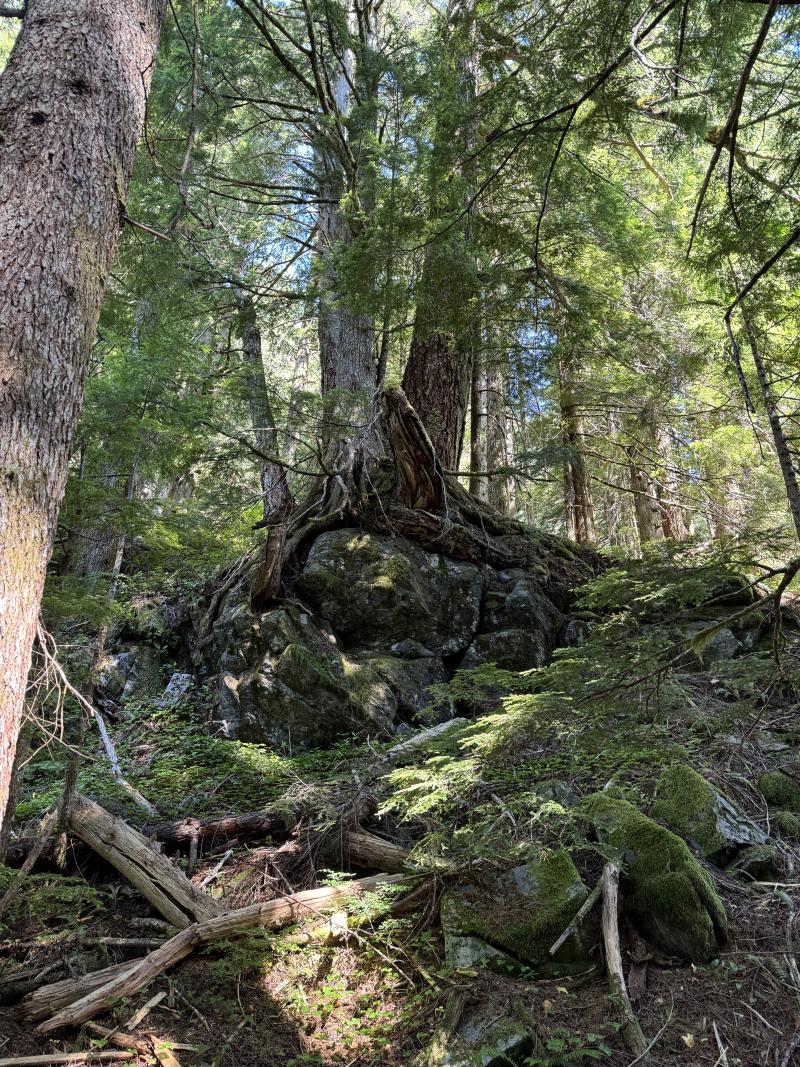 Three Arm Lake photo 39