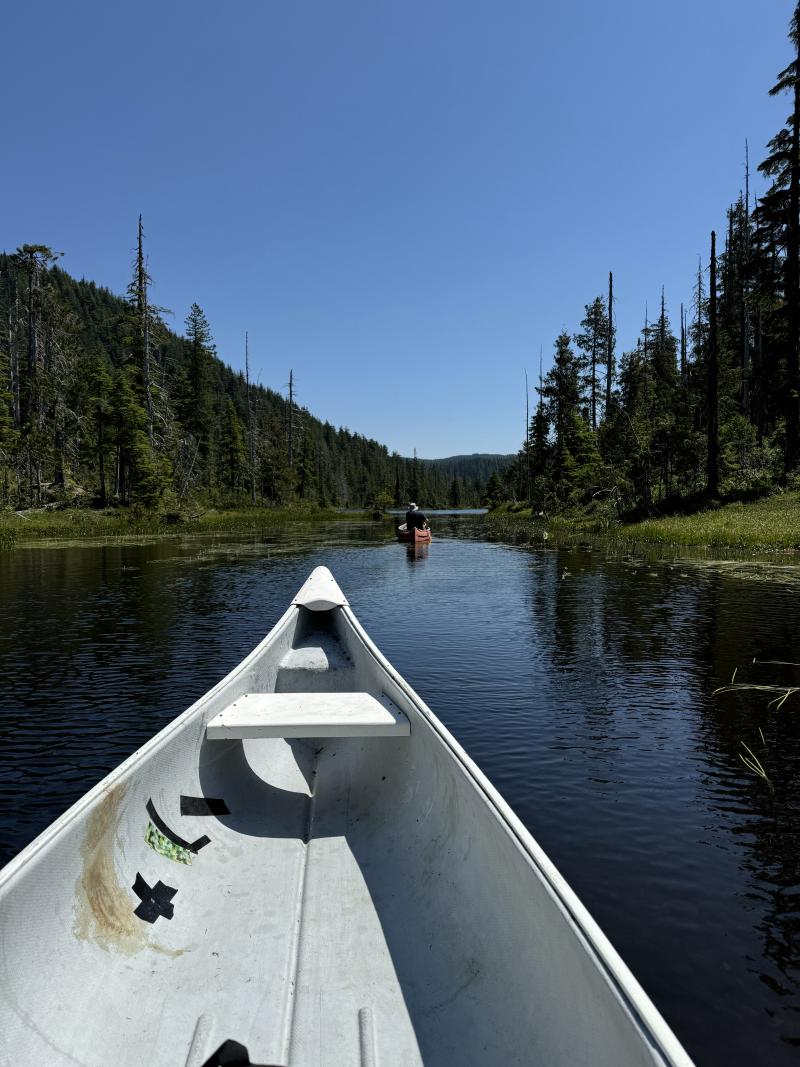 Three Arm Lake photo 46