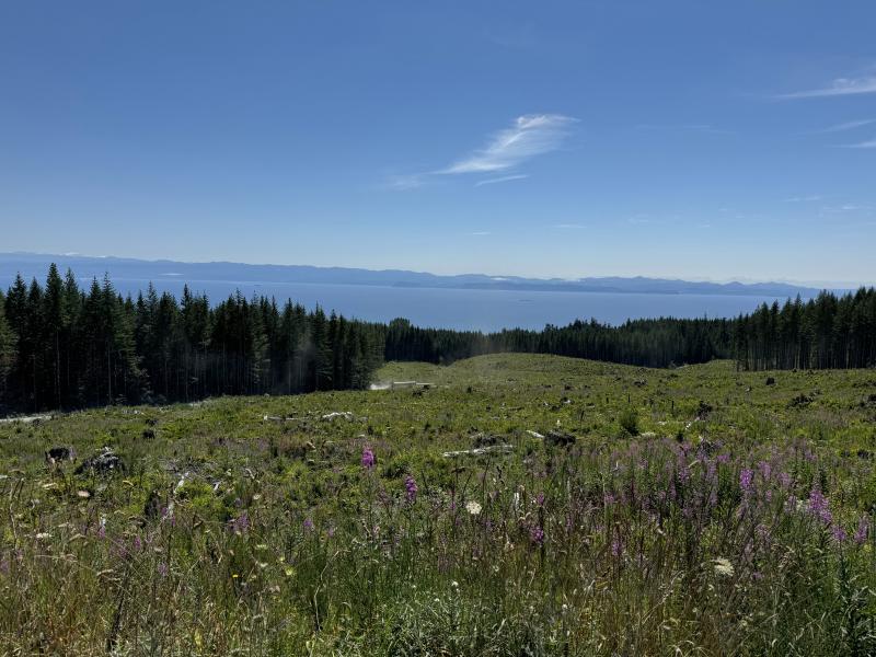 Three Arm Lake photo 53