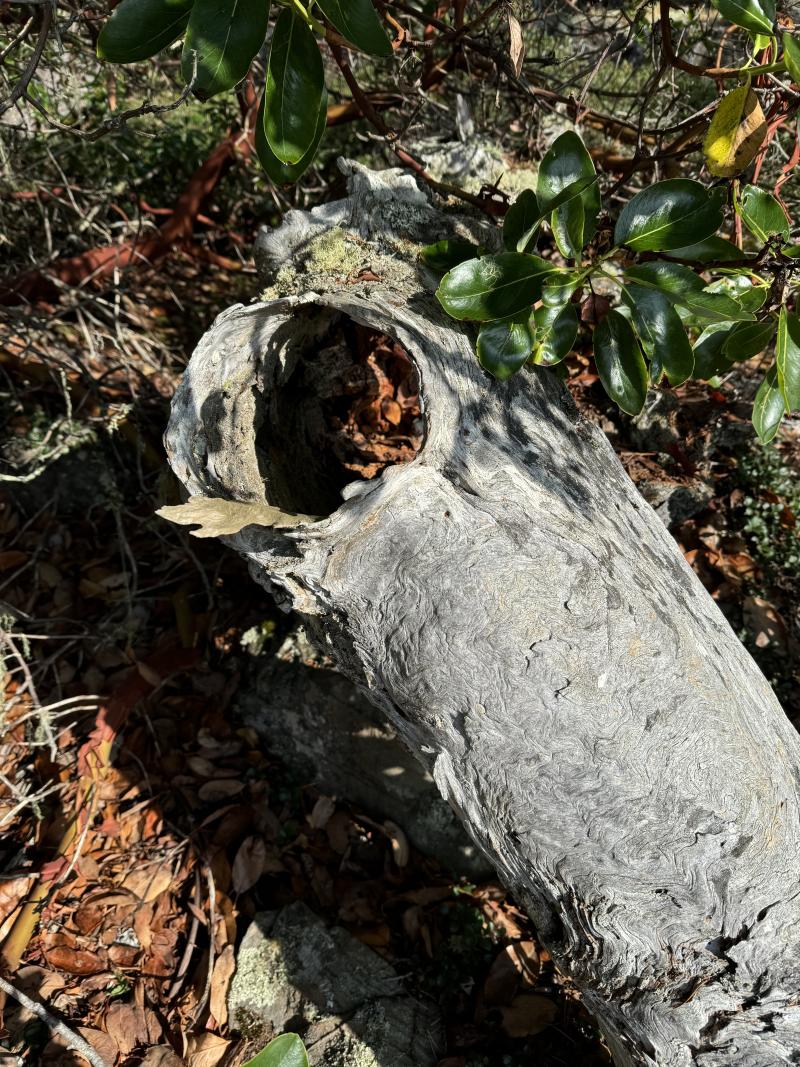 Copper Mines Cabin photo 11