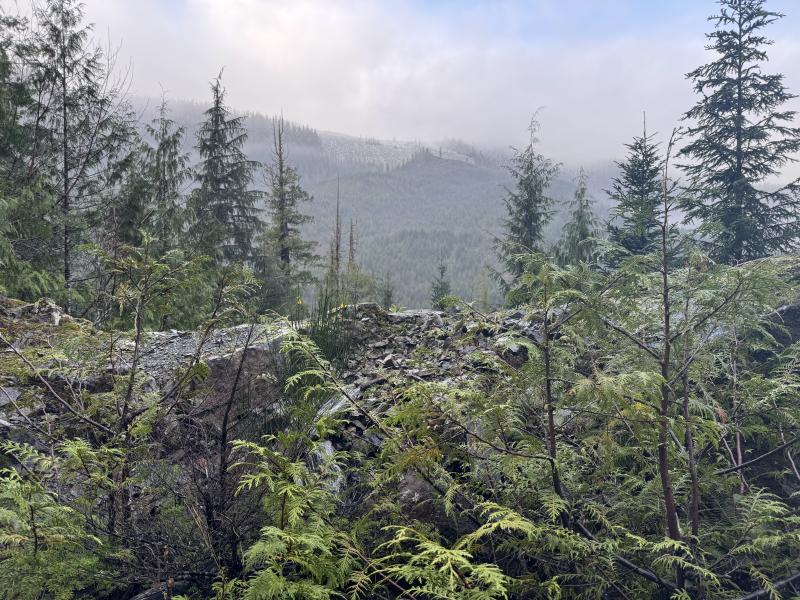 Jordan River Port Renfrew photo 28
