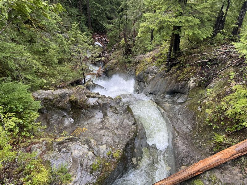 Jordan River Port Renfrew photo 42