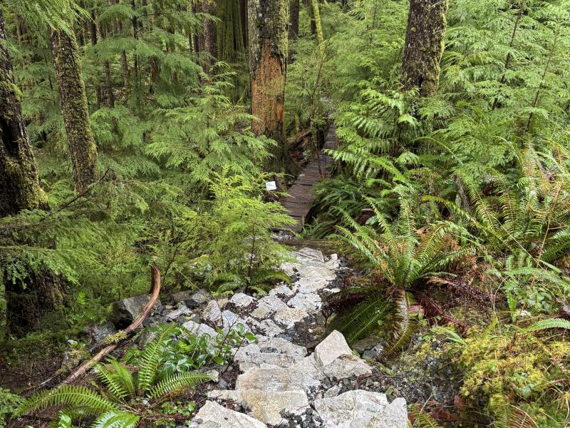 Jordan River Port Renfrew photo 46