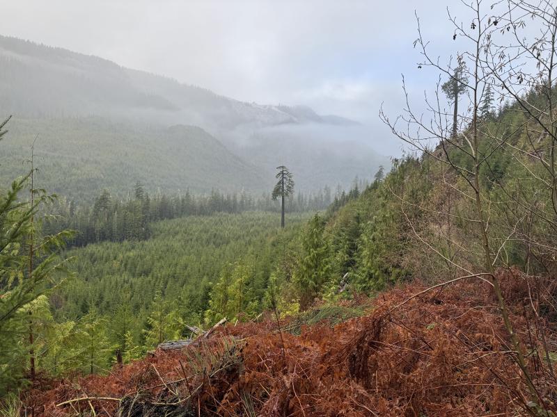 Jordan River Port Renfrew photo 56