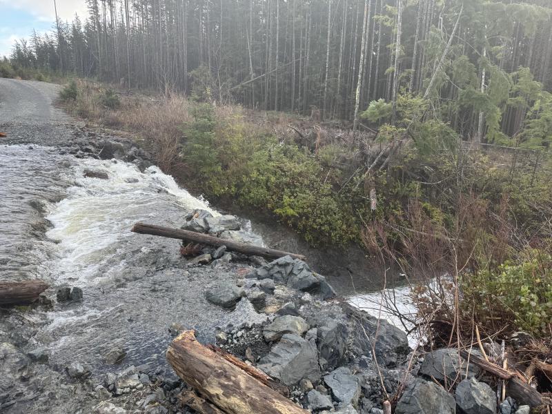 Jordan River Port Renfrew photo 8