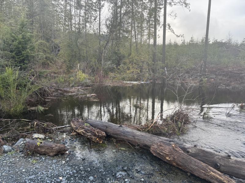 Jordan River Port Renfrew photo 9