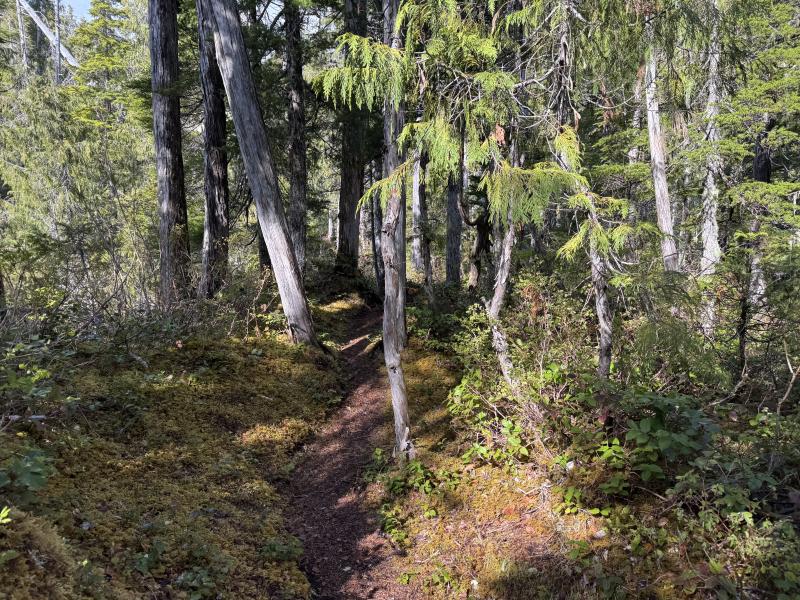 Noyse Three Arm Lake photo 8