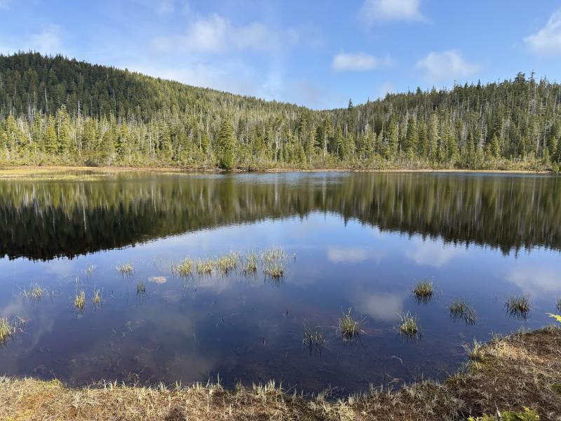 Noyse Three Arm Lake photo 16