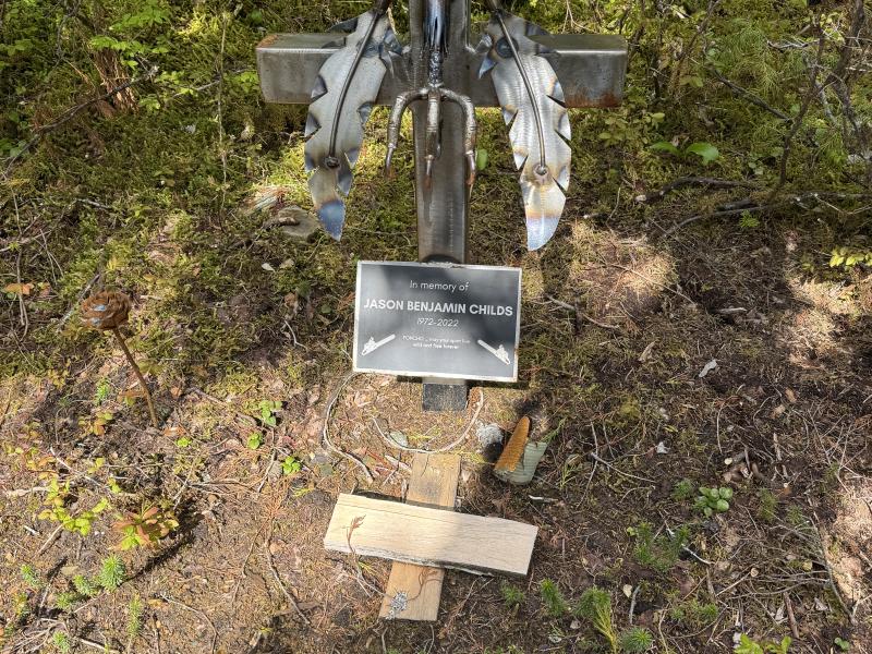 Meadow Cabin Trapper Lakes photo 29