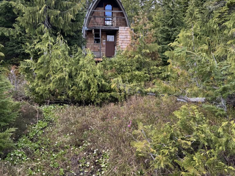 Meadow Cabin Trapper Lakes photo 31