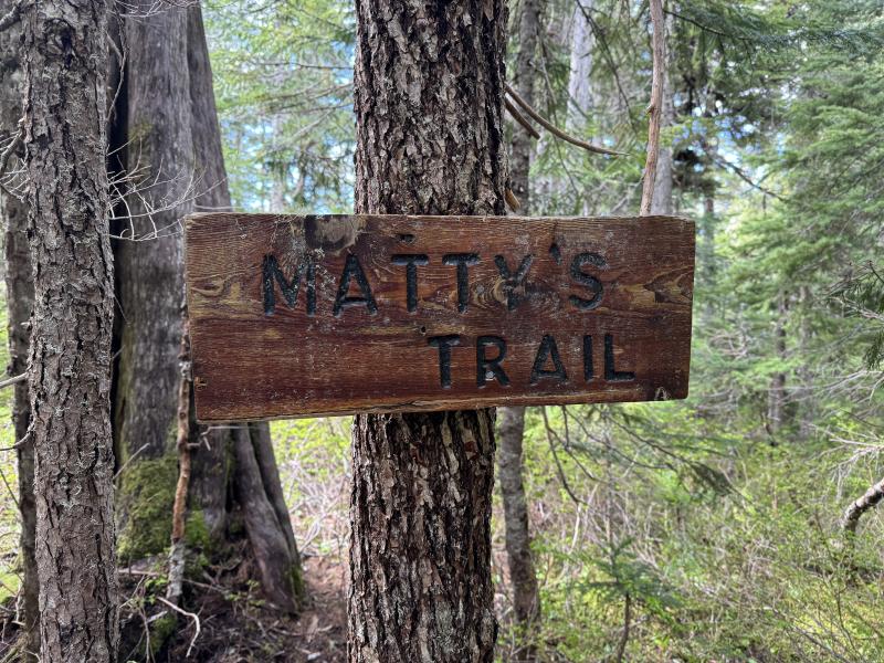 Meadow Cabin Trapper Lakes photo 34