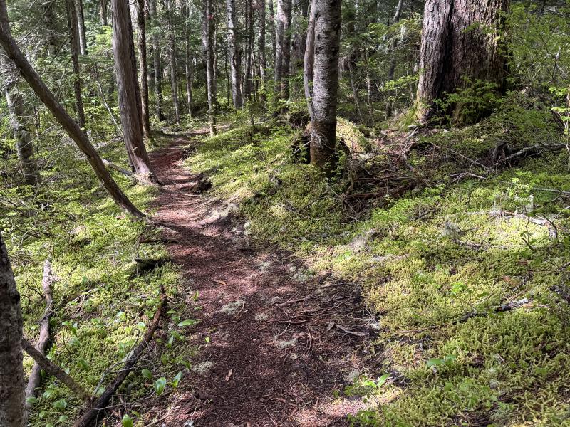 Meadow Cabin Trapper Lakes photo 35
