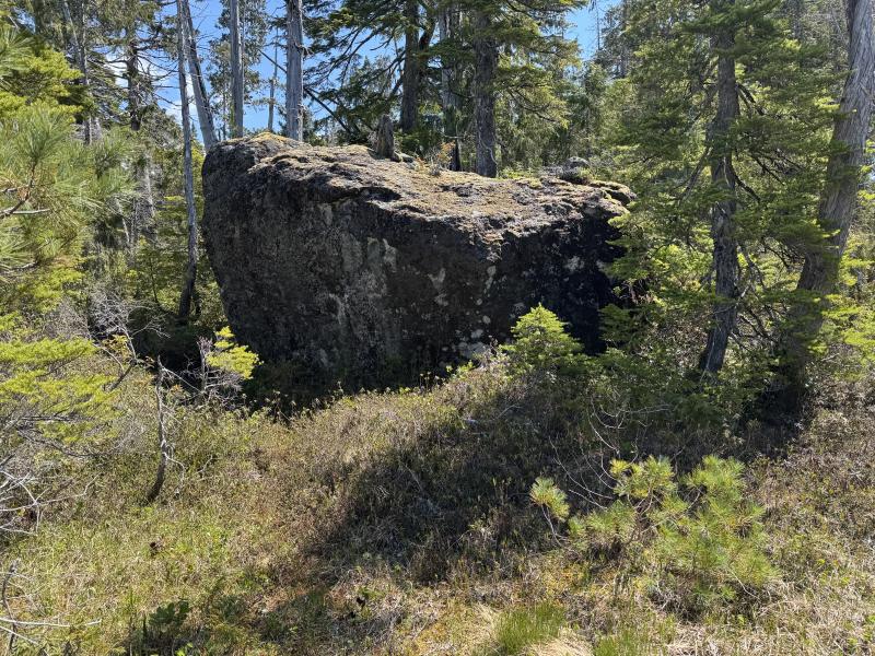 Meadow Cabin Trapper Lakes photo 46