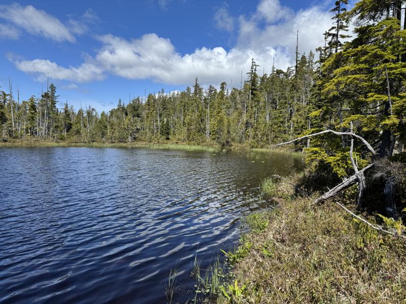 Meadow Cabin Trapper Lakes photo 49