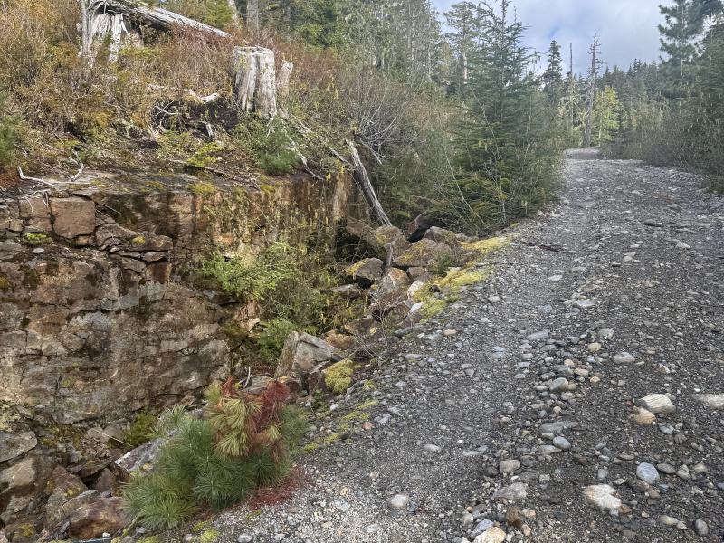 Meadow Cabin Trapper Lakes photo 6