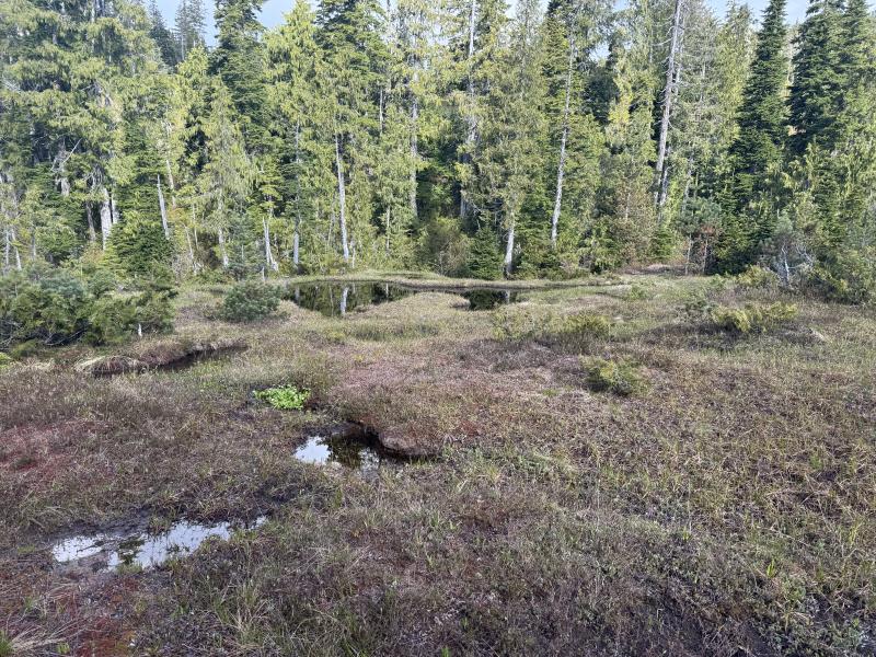 Meadow Cabin Trapper Lakes photo 12