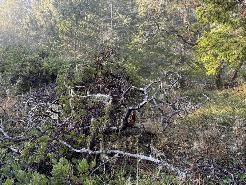Babbington Hill photo 8