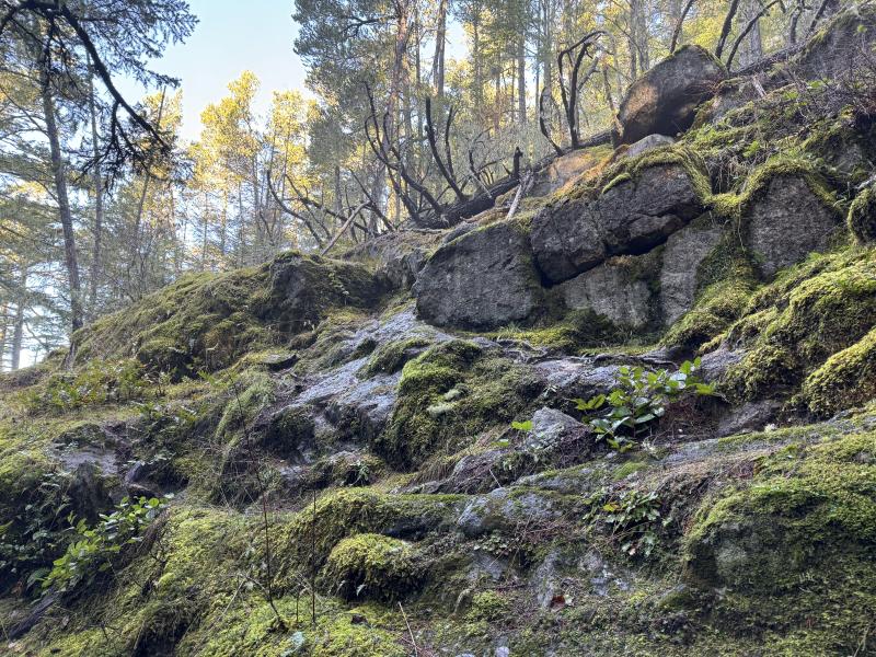 Babbington Hill photo 10