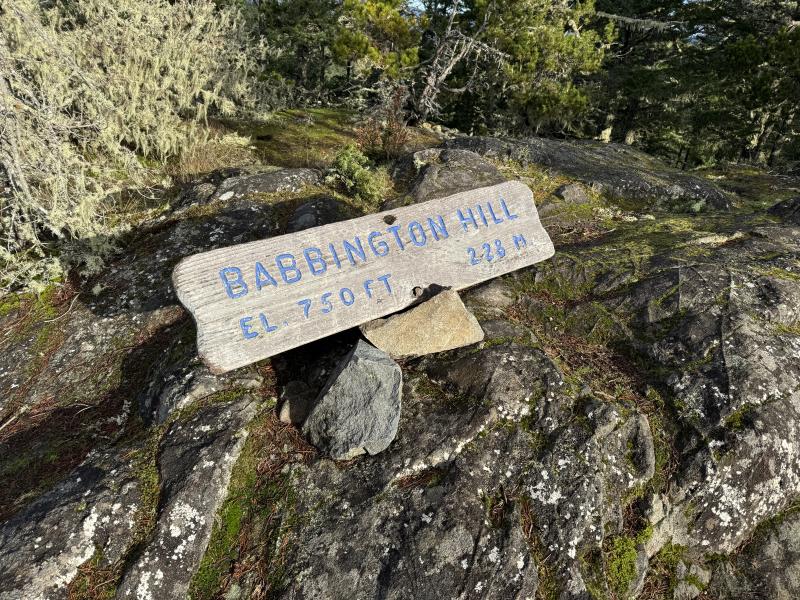 Babbington Hill photo 16