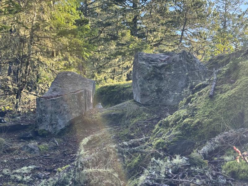 Babbington Hill photo 26