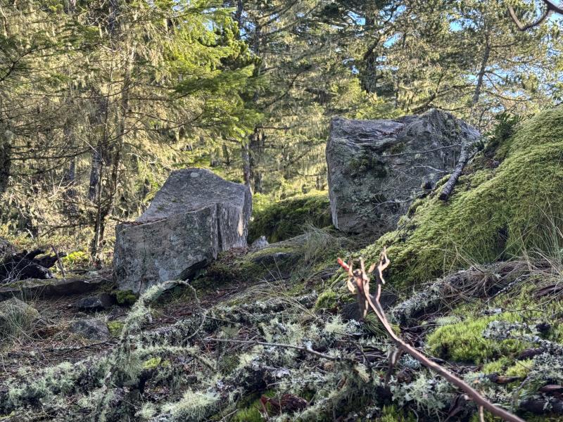Babbington Hill photo 27
