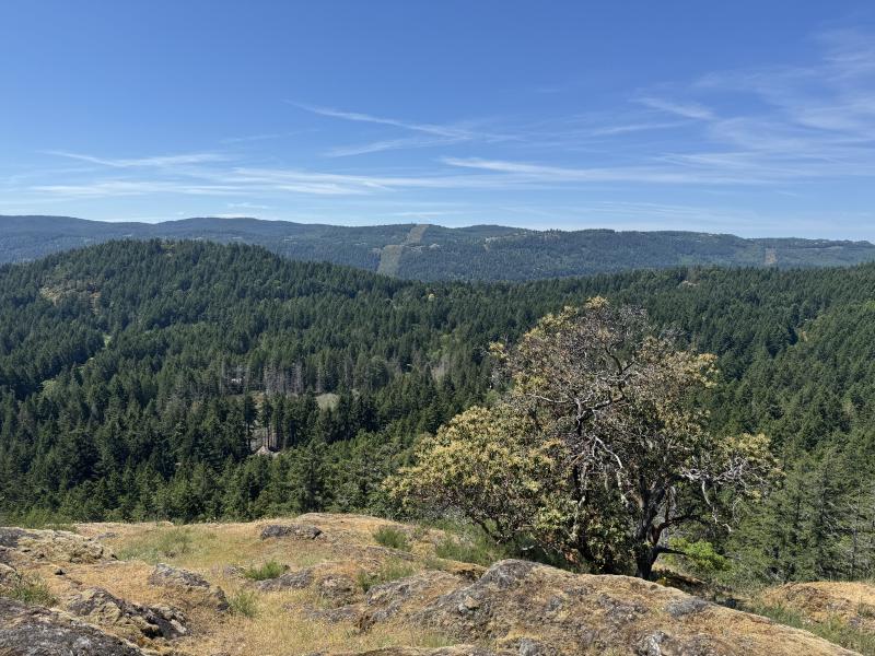 Trussel Mountain Hike photo 5
