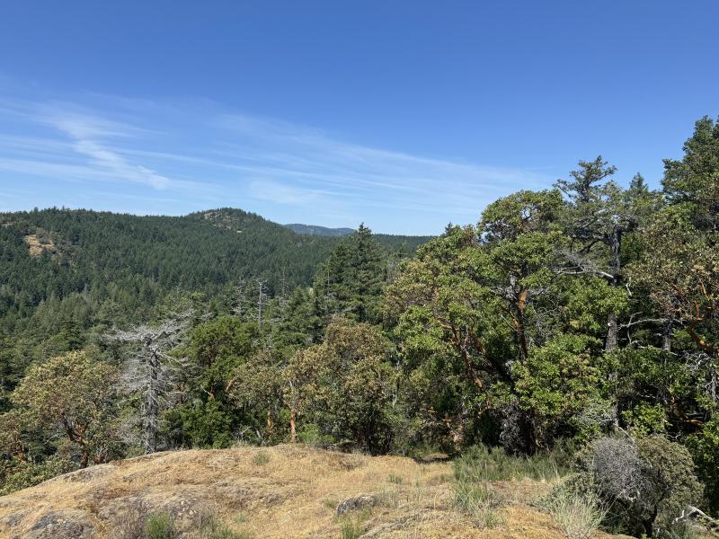 Trussel Mountain Hike photo 6