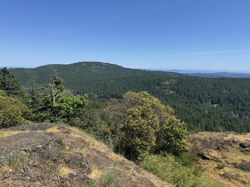 Trussel Mountain Hike photo 7