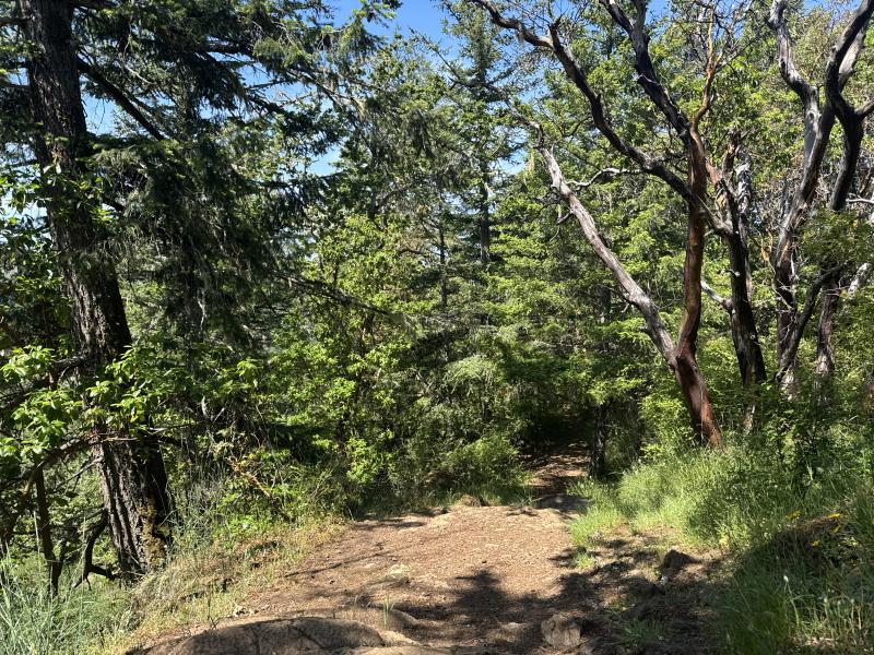 Trussel Mountain Hike photo 2
