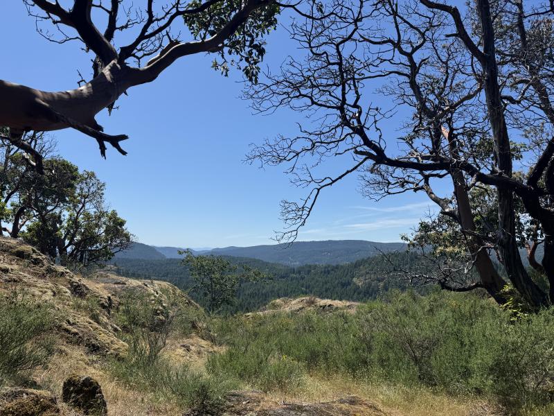 Trussel Mountain Hike photo 3