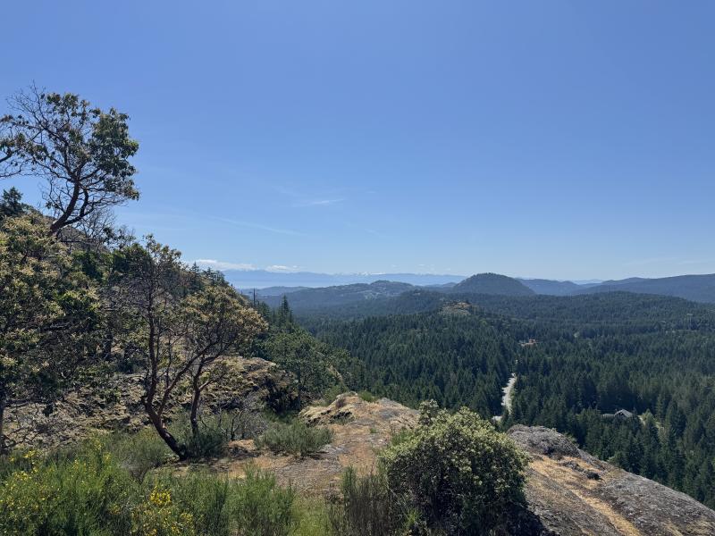 Trussel Mountain Hike photo 4